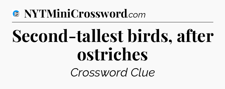 Second-tallest birds, after ostriches Crossword Clue