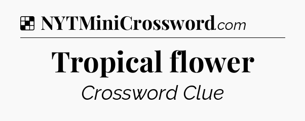 Solution: Tropical flower - NYT Crossword