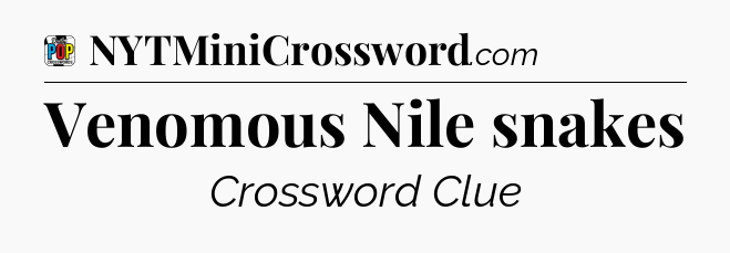 Venomous Nile snakes Crossword Clue