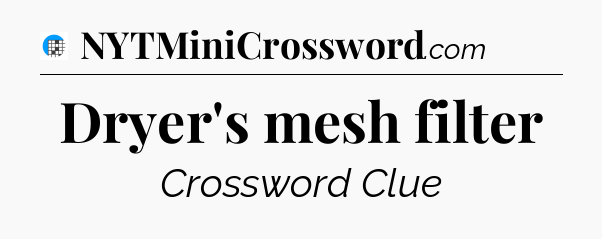 Dryer's mesh filter Crossword Clue