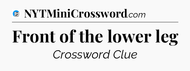 Front of the lower leg Crossword Clue