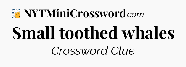 Small toothed whales - 7 Little Words