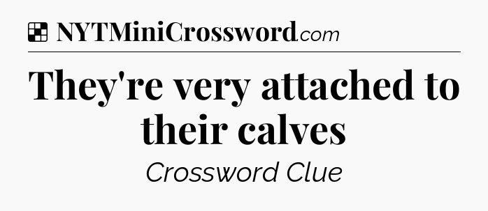 Solution: They're very attached to their calves - NYT Crossword