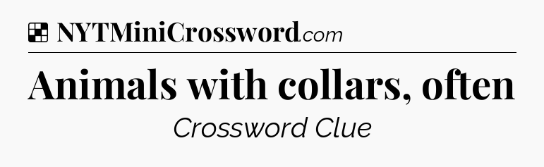 Solution: Animals with collars, often - NYT Crossword