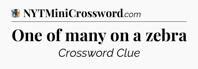 One of many on a zebra Crossword Clue