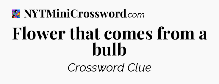 Flower that comes from a bulb Crossword Clue