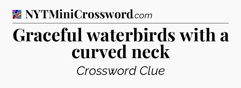 Graceful waterbirds with a curved neck Crossword Clue