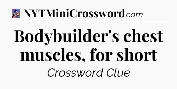 Bodybuilder's chest muscles, for short Crossword Clue