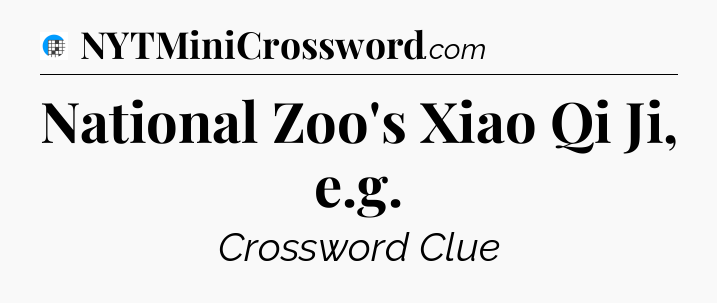 National Zoo's Xiao Qi Ji, e.g Crossword Clue