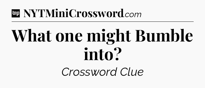 What one might Bumble into Crossword Clue