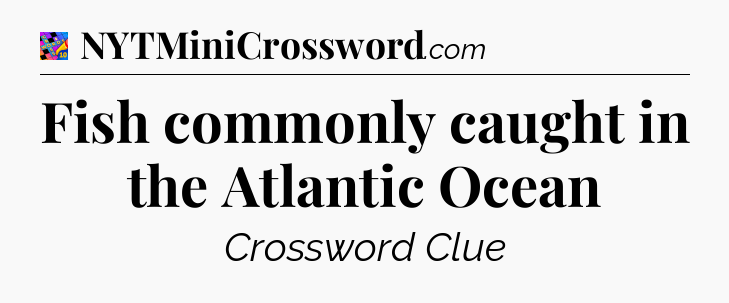 Fish commonly caught in the Atlantic Ocean Crossword Clue