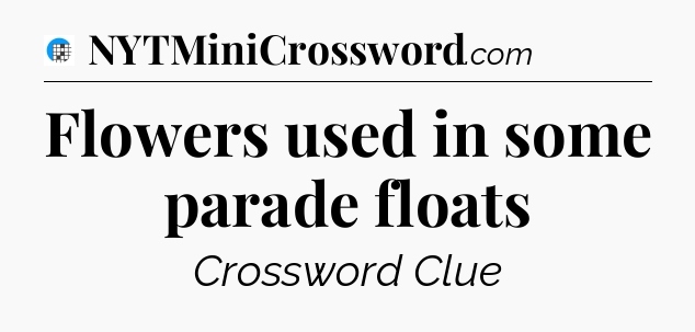 Flowers used in some parade floats Crossword Clue