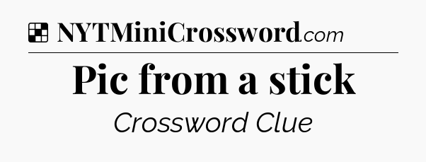 Solution: Pic from a stick - NYT Crossword