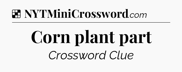 Solution: Corn plant part - NYT Crossword