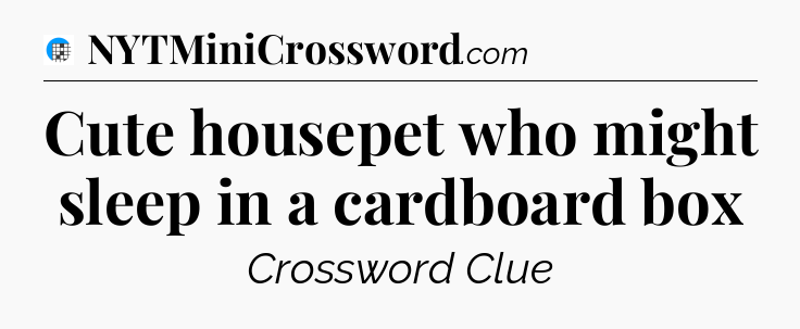 Cute housepet who might sleep in a cardboard box Crossword Clue