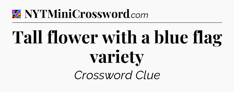 Tall flower with a blue flag variety Crossword Clue