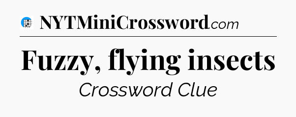 Fuzzy, flying insects Crossword Clue