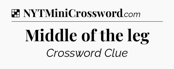 Solution: Middle of the leg - NYT Crossword