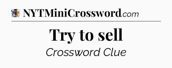 Try to sell Crossword Clue