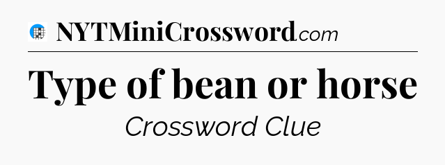Type of bean or horse Crossword Clue
