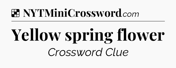 Solution: Yellow spring flower - NYT Crossword