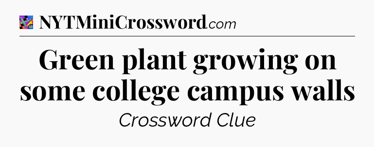 Green plant growing on some college campus walls Crossword Clue