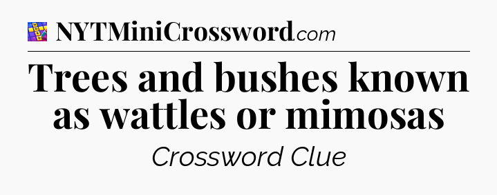 Trees and bushes known as wattles or mimosas Codycross