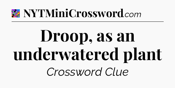 Droop, as an underwatered plant Crossword Clue