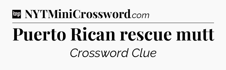 Puerto Rican rescue mutt Crossword Clue