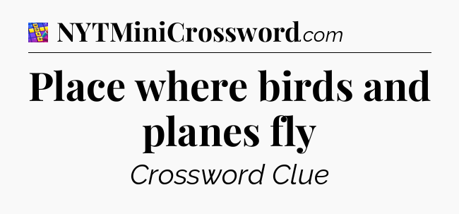 Place where birds and planes fly Codycross