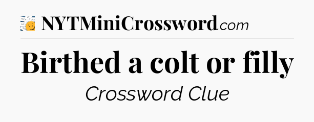 Birthed a colt or filly - 7 Little Words