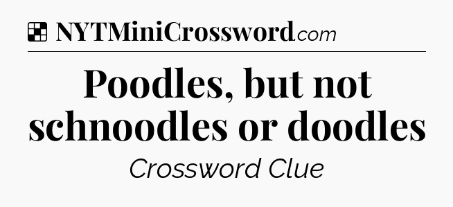 Solution: Poodles, but not schnoodles or doodles - NYT Crossword