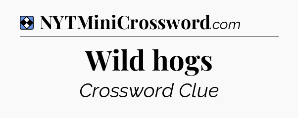 Solution: Wild hogs - NYT Mini Crossword