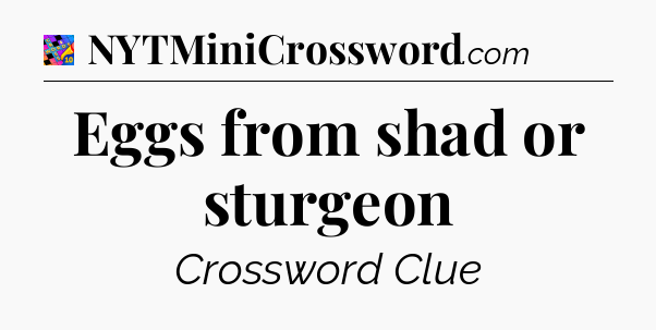Eggs from shad or sturgeon Crossword Clue