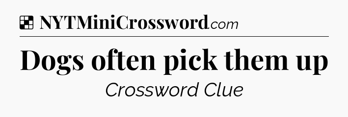Solution: Dogs often pick them up - NYT Crossword