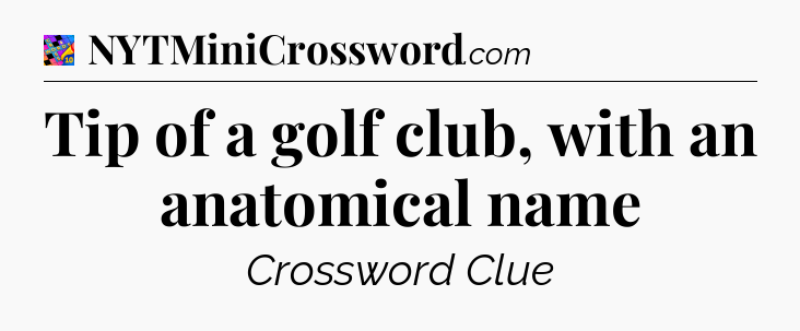 Tip of a golf club, with an anatomical name Crossword Clue