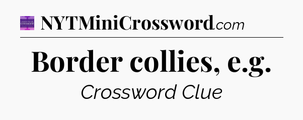 Border collies, e.g - Thomas Joseph Crossword