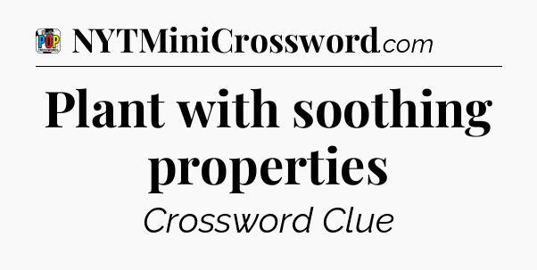 Plant with soothing properties Crossword Clue