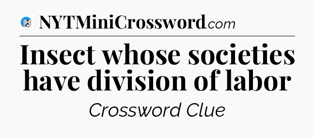 Insect whose societies have division of labor Crossword Clue