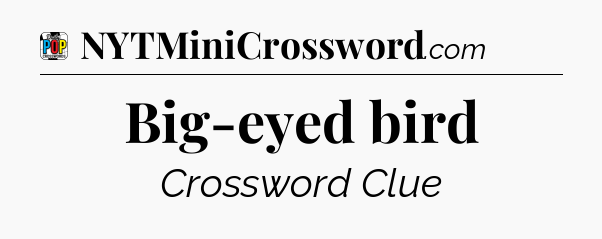 Big-eyed bird Crossword Clue