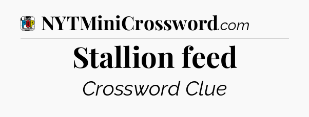 Stallion feed Crossword Clue