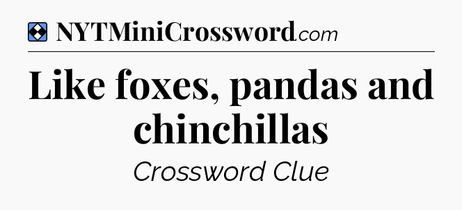 Solution: Like foxes, pandas and chinchillas - NYT Mini Crossword