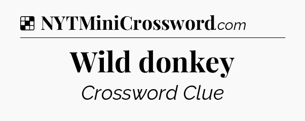 Solution: Wild donkey - NYT Crossword