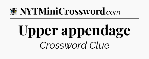 Upper appendage Crossword Clue