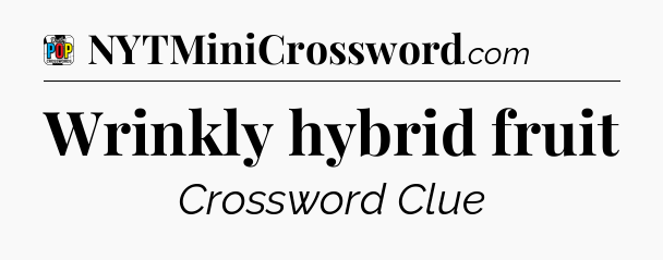Wrinkly hybrid fruit Crossword Clue
