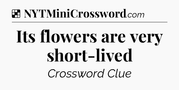 Solution: Its flowers are very short-lived - NYT Crossword