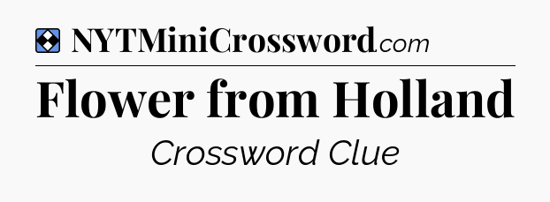 Solution: Flower from Holland - NYT Mini Crossword
