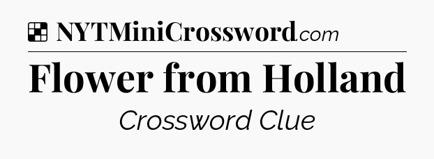 Solution: Flower from Holland - NYT Crossword