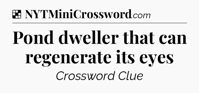 Solution: Pond dweller that can regenerate its eyes - NYT Crossword