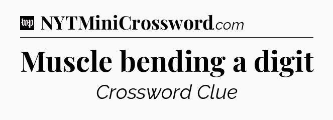 Muscle bending a digit Crossword Clue